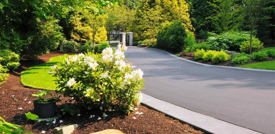 Landscaping Services