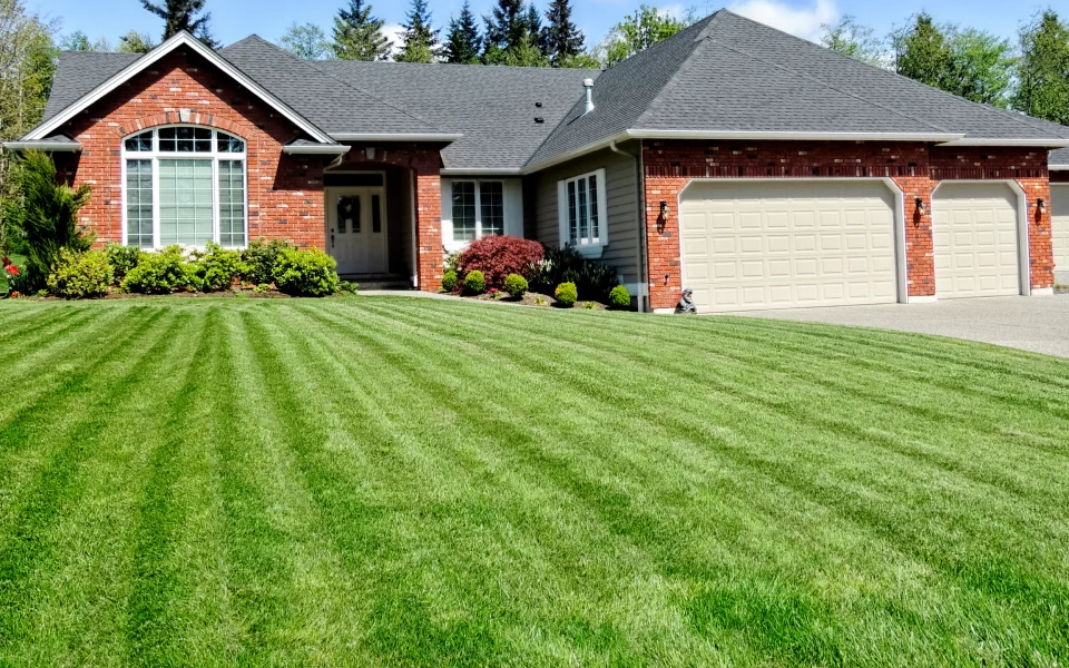 ongoing Landscaping services